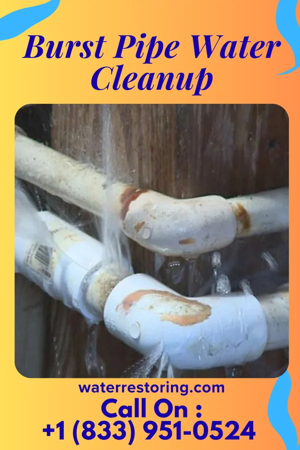 Burst Pipe Water Cleanup in North Lakeville, MA