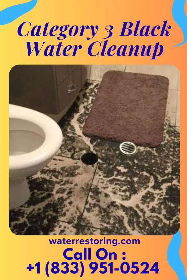 Category 3 Black Water Cleanup in North Lakeville, MA