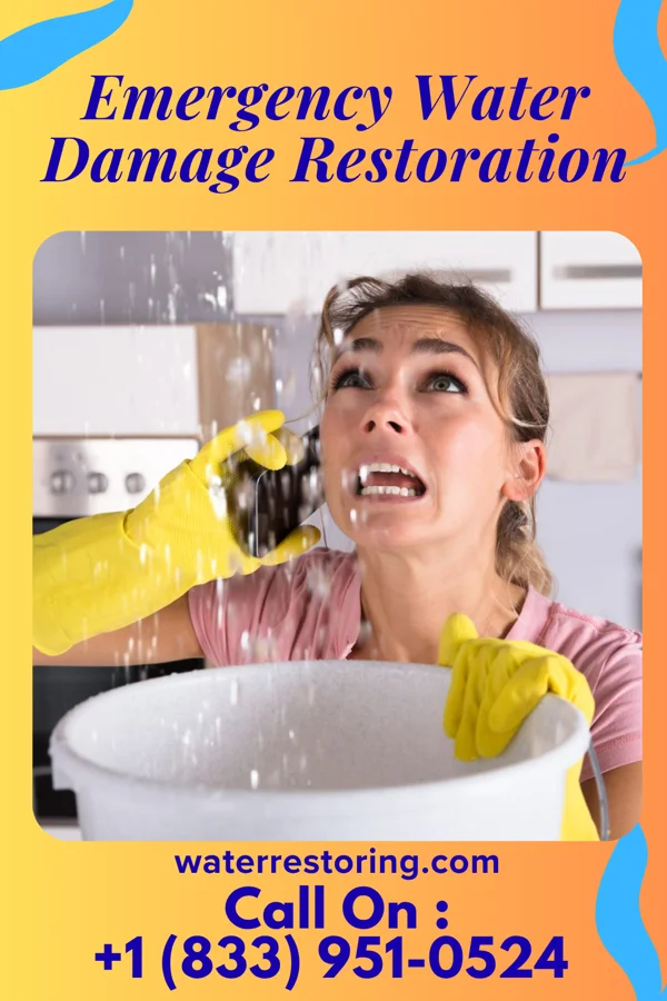 Emergency Water Damage Restoration in North Lakeville, MA