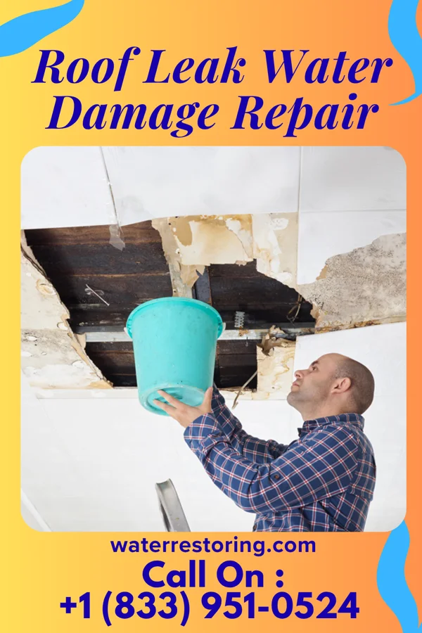 Roof Leak Water Damage Repair in North Lakeville, MA