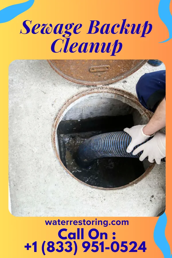 Sewage Backup Cleanup in North Lakeville, MA